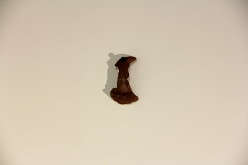 Natalia_Laluq_ceramics_Clay_Hammer_2017 (ch14)