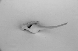 Natalia_Laluq_ceramics_Clay_Hammer_2017 (ch17)