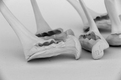 Natalia_Laluq_ceramics_Clay_Hammer_2017 (ch18)