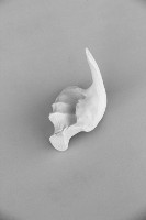 Natalia_Laluq_ceramics_Clay_Hammer_2017 (ch20)