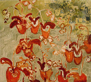 Natalia_Laluq_Still-life_Landscape_2003-2006 (p059)