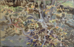 Natalia_Laluq_plein-air_Toronto_2020 (p197)