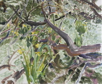 Natalia_Laluq_plein-air_Toronto_2020 (p208)