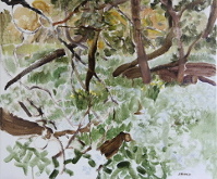 Natalia_Laluq_plein-air_Toronto_2020 (p209)