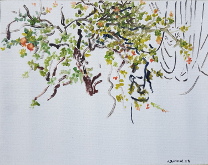 Natalia_Laluq_plein-air_SMA_2023 (p258)