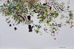 Natalia_Laluq_plein-air_SMA_2023 (p260)